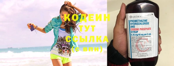 индика Бугульма
