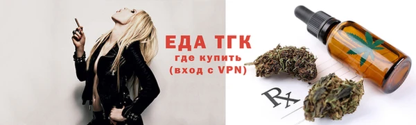 индика Бугульма