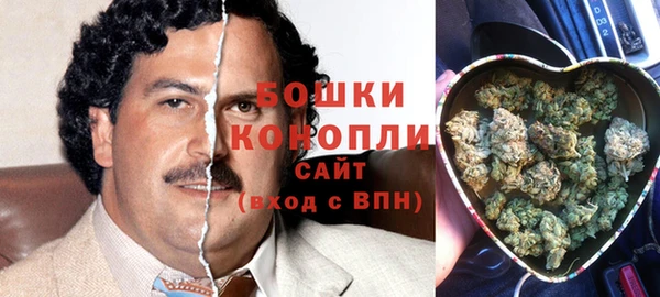 индика Бугульма