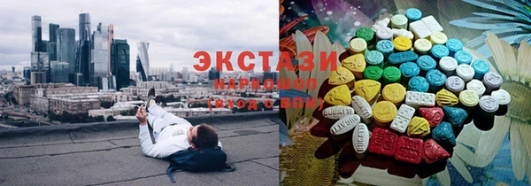 индика Бугульма